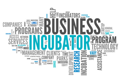 un-incubateur-pour-transformer-les-grandes-entreprises-en-start-up